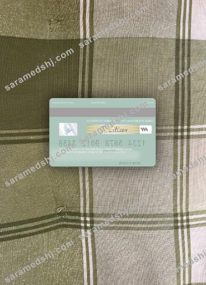Latvia SEB Bank visa debit card photolook back